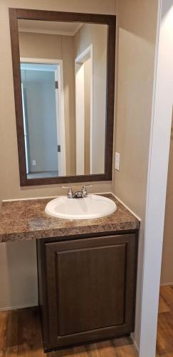 A bathroom with a sink and mirror.